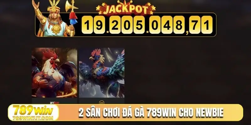 2 sân chơi đá gà 789Win cho newbie