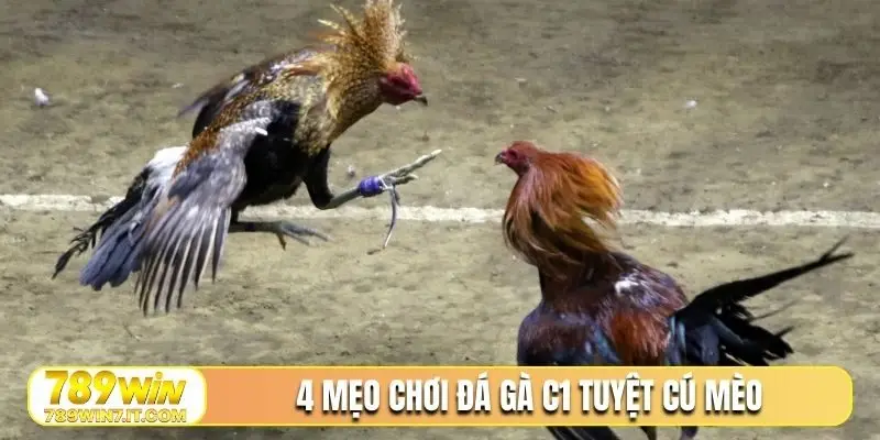 4 mẹo chơi đá gà C1 tuyệt cú mèo